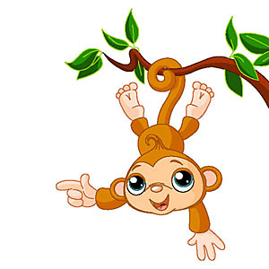 Fototapeta Opička v džungli 5114